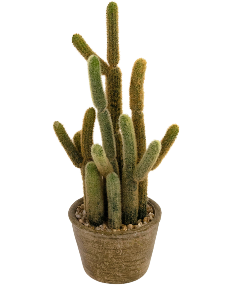 Kunst Cactus Cereus 35 cm