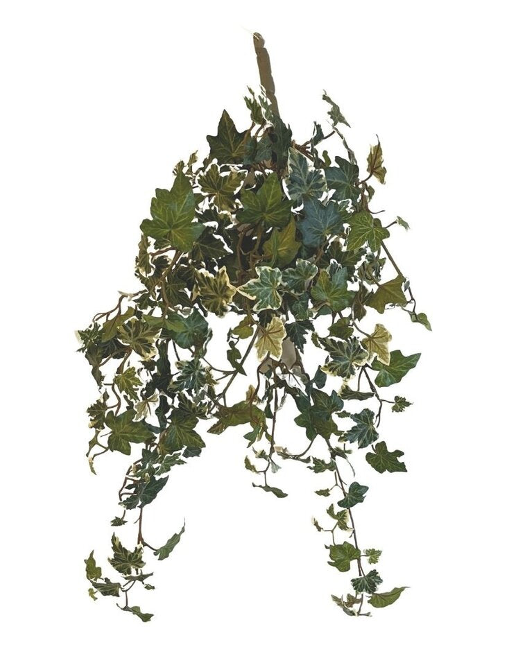 Kunst Klimop Deluxe Groen-wit 60cm