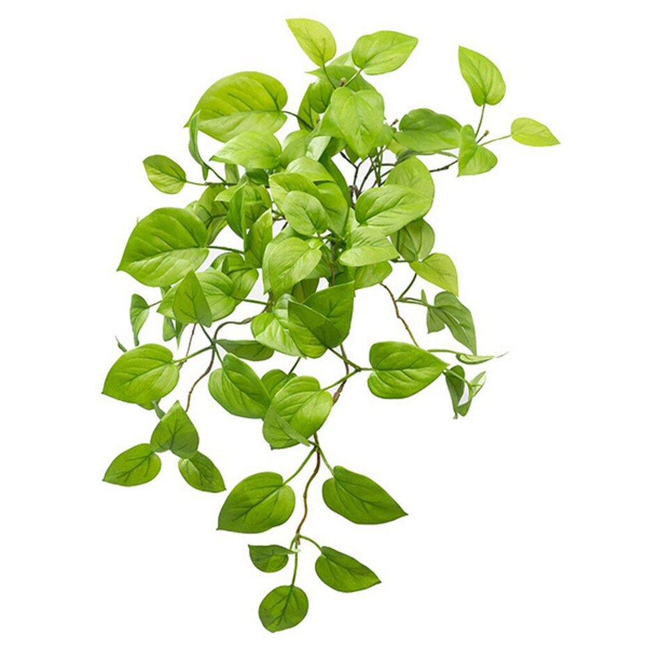 Kunst Pothos Struik Deluxe 60cm