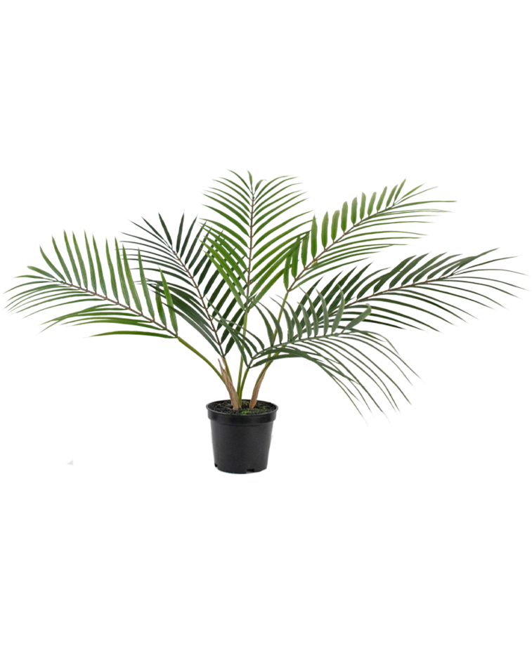 Kunstpalm Chamaedorea 48 cm