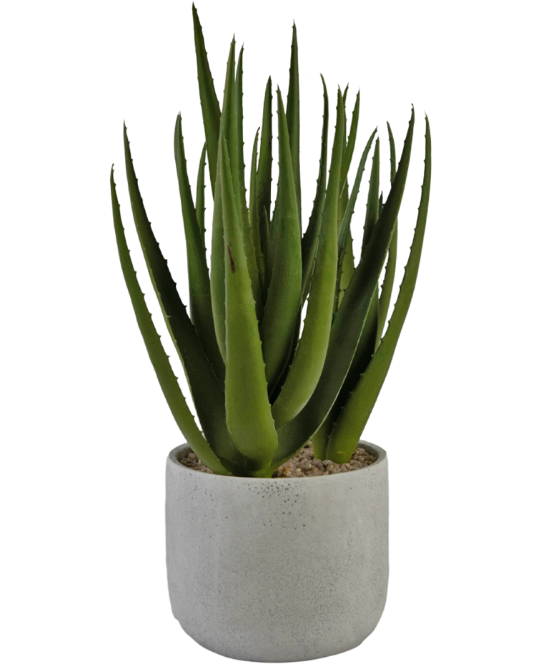 Kunstplant Aloe Vera 43 cm