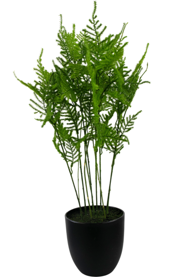 Kunstplant Asparagus 59 cm