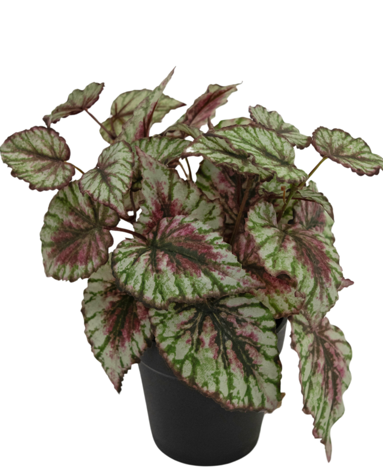 Kunstplant Begonia in pot 35cm