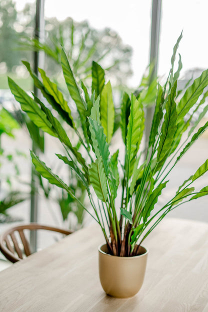 Kunstplant Calathea  80 cm