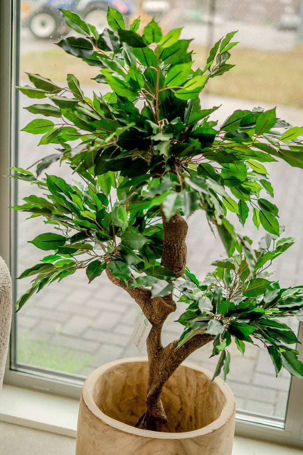 kunstplant-ficus-crazy-120-cm-10404