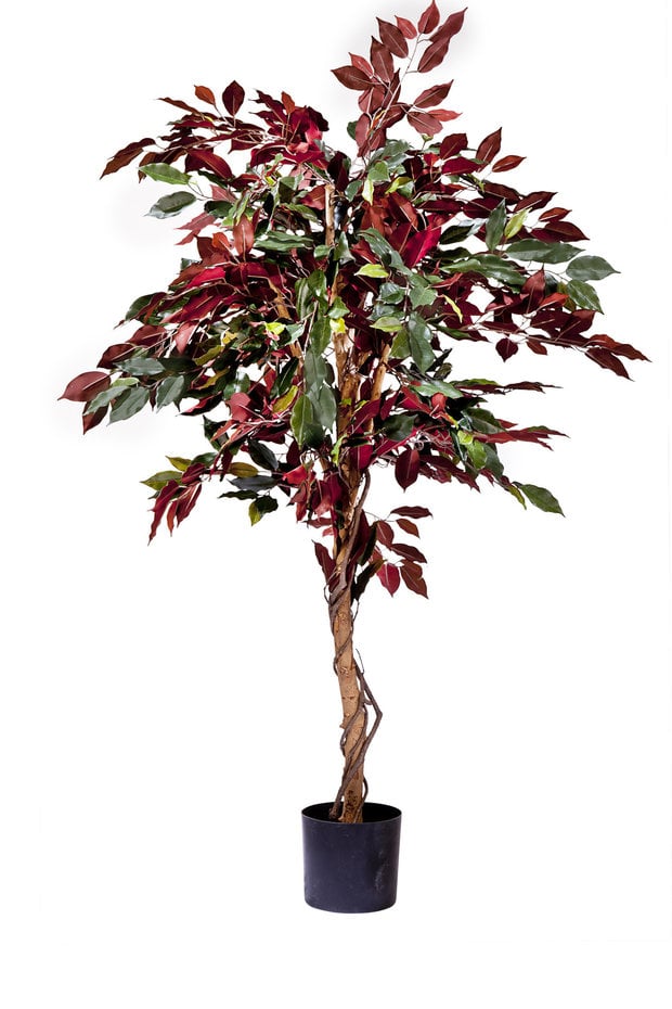 Kunstplant Ficus groen/rood 150 cm