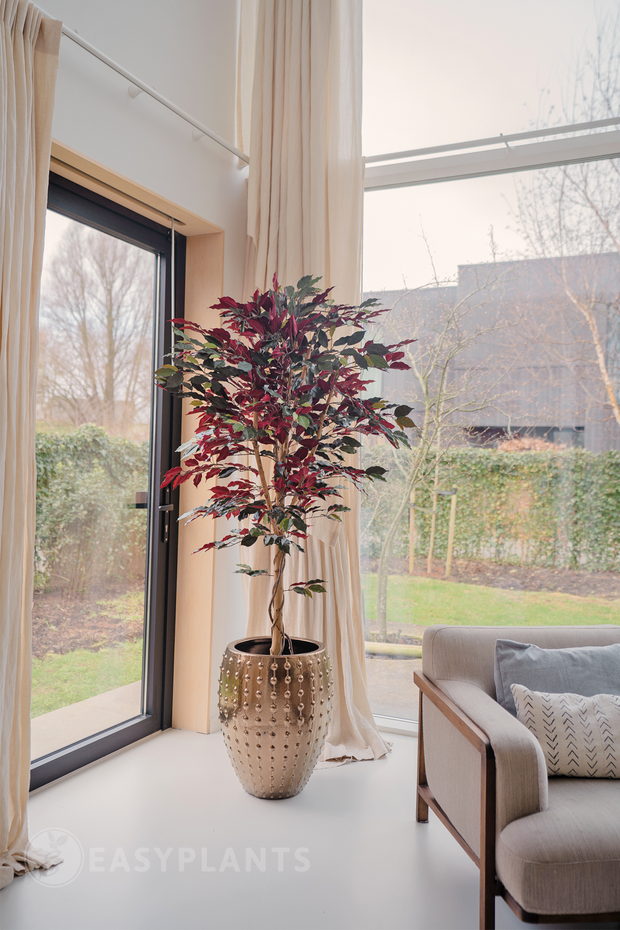 Kunstplant Ficus groen/rood 180 cm brandvertragend