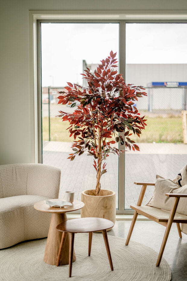 Kunstplant Ficus groen/rood 180 cm brandvertragend