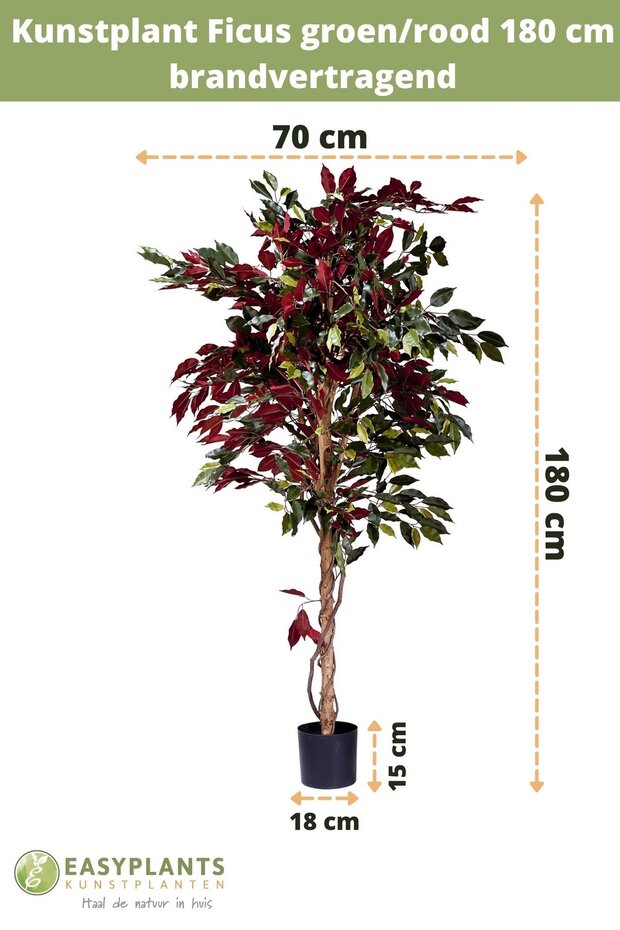 Kunstplant Ficus groen/rood 180 cm brandvertragend