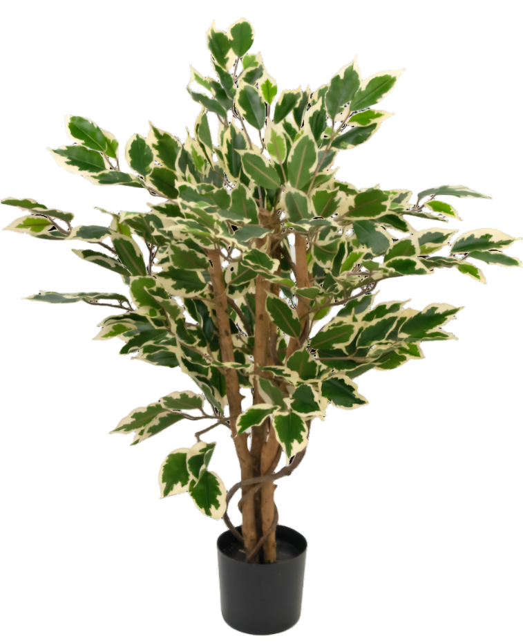 Kunstplant Ficus Groen/wit 90 cm