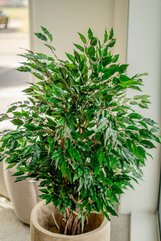 kunstplant-ficus-liana-120-cm-10204