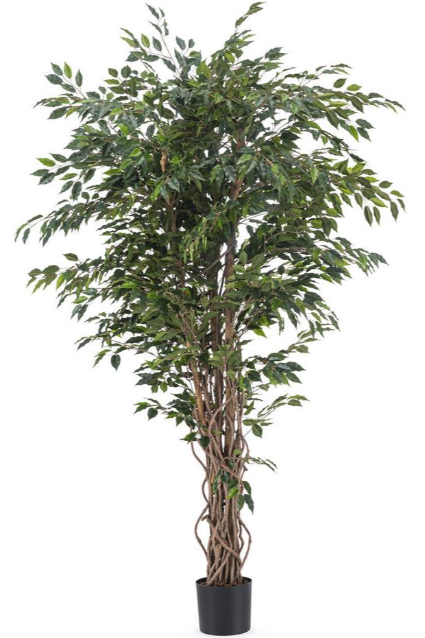 Kunstplant Ficus Liana 180 cm