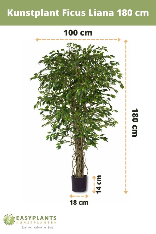 Kunstplant Ficus Liana 180 cm