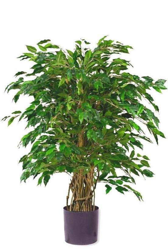 Kunstplant Ficus Liana 90 cm