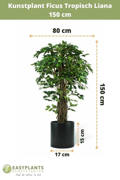 Kunstplant Ficus Tropisch Liana 150 cm