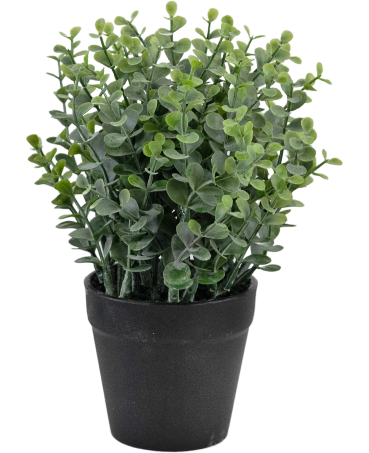 Kunstplant Pumila 23 cm