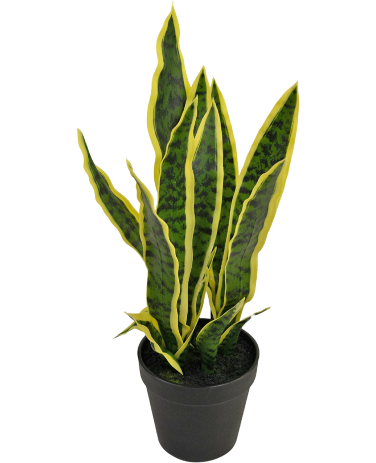 Kunstplant Sansevieria Laurentii 44 cm in sierpot