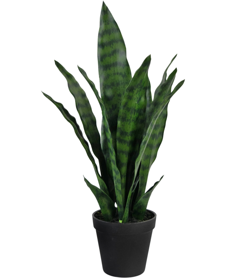 Kunstplant Sansevieria Zeylanica 44 cm