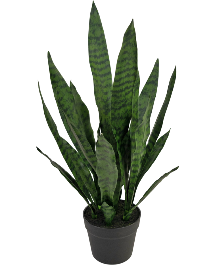 Kunstplant Sansevieria Zeylanica 71 cm