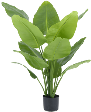 Kunstplant Strelitzia Real Touch Deluxe 120 cm