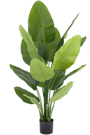 Kunstplant Strelitzia Real Touch Deluxe 150 cm