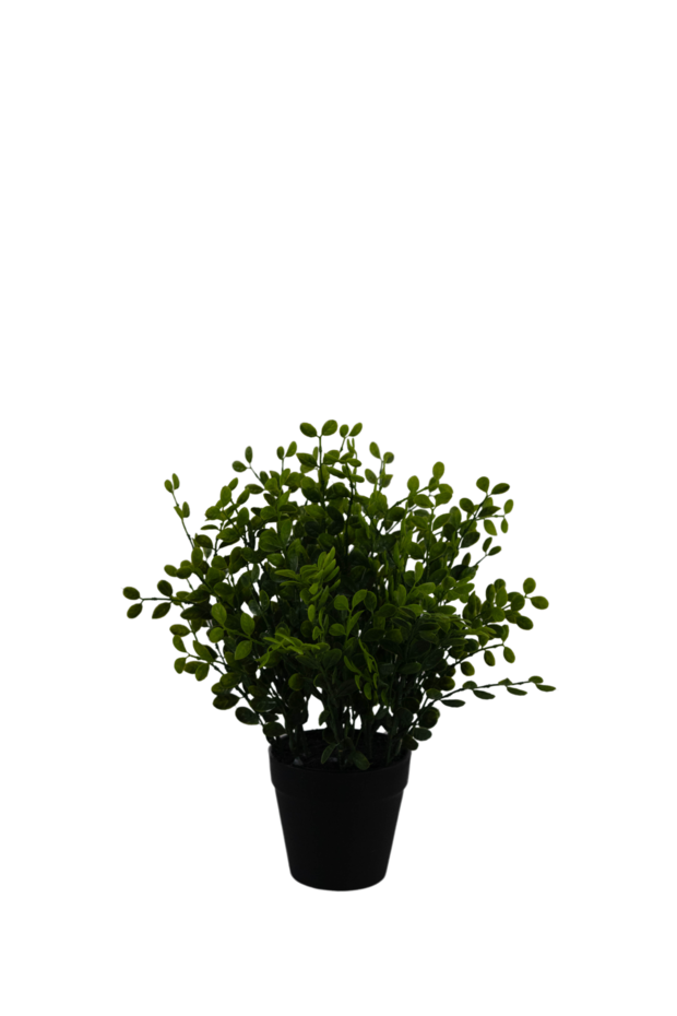 Kunstplant Theebladeren 25 cm