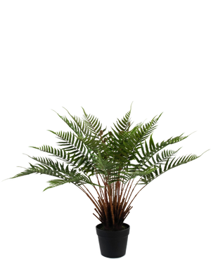 Kunstplant Varen 66 cm