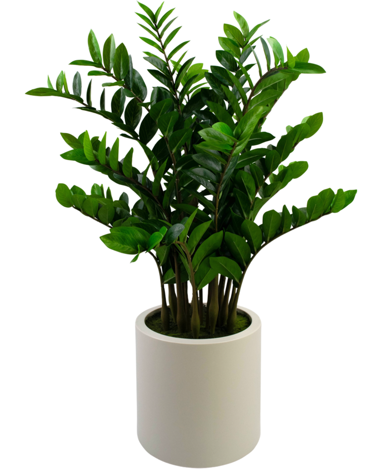 Kunstplant Zamioculcas kant en klaar in beige pot 120 cm