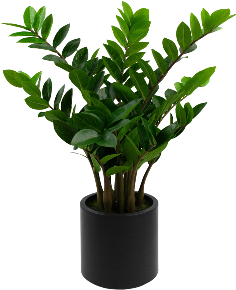 Kunstplant Zamioculcas kant en klaar in zwarte pot 80 cm