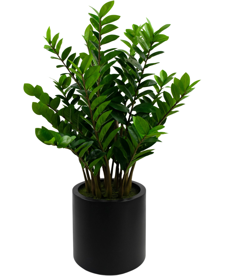 Kunstplant Zamioculcas kant en klaar in zwarte pot 120 cm