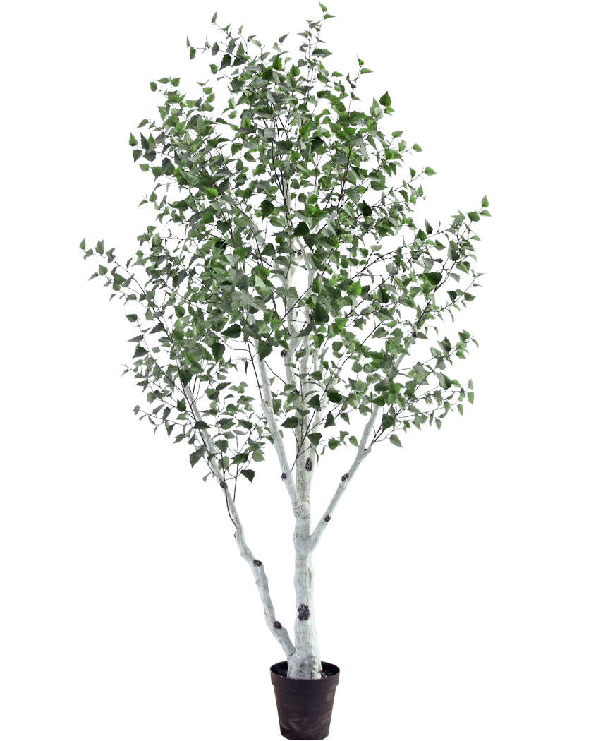 kunst-berkenboom-300cm