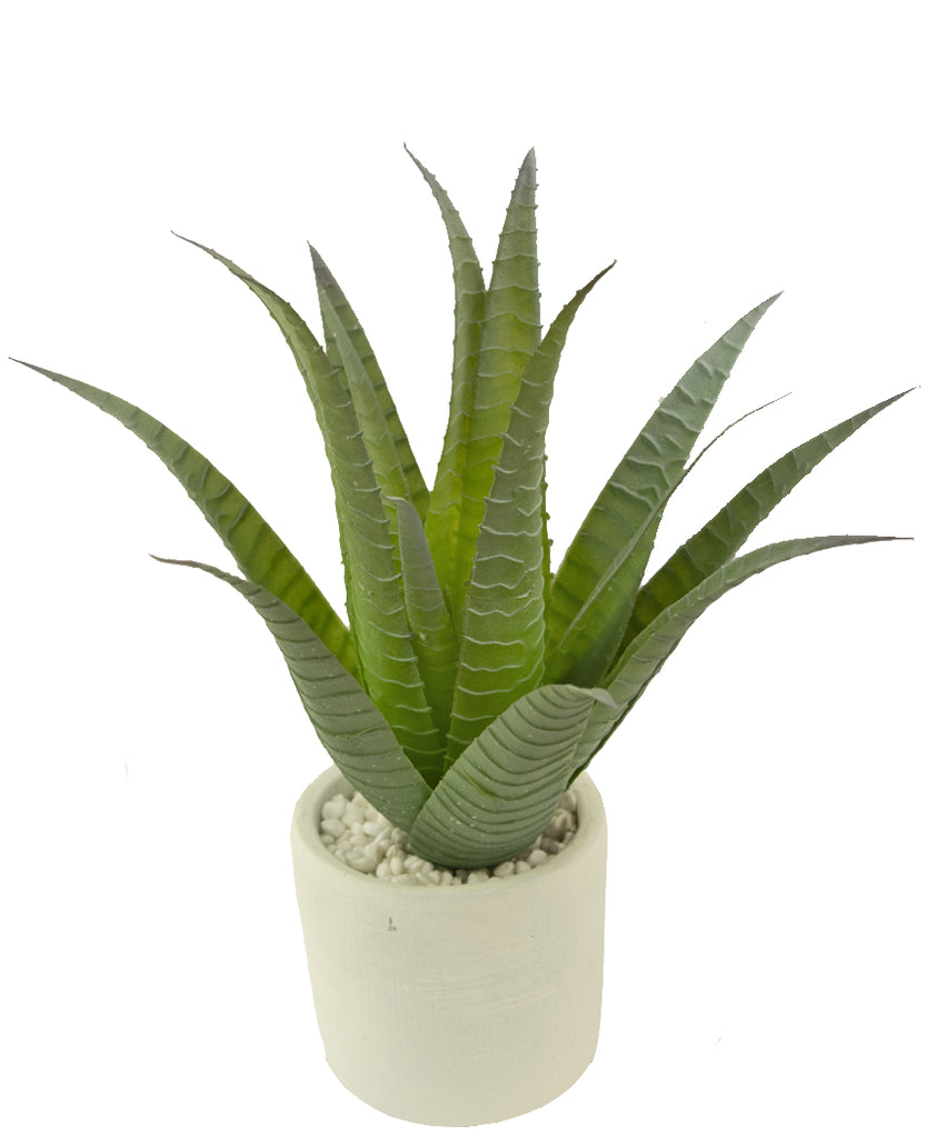 Nep agave plant van 30 cm