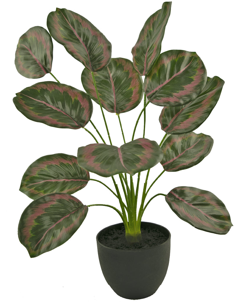 Kunstplant Calathea 58 cm groen rood in decoratieve zwarte pot