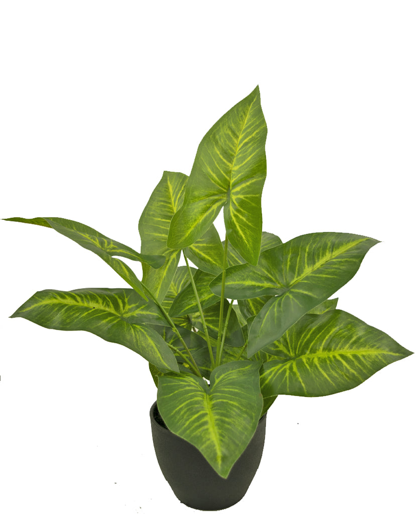 Kunstplant Dieffenbachia in zwarte sierpot van 40 cm