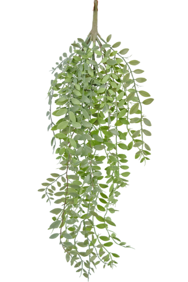 Kunst hangplant Pumila/Eucalyptus 76 cm