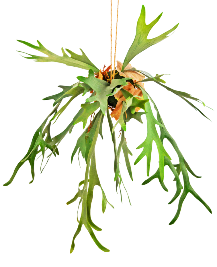 Kunst hangplant Staghorn op bal 89 cm