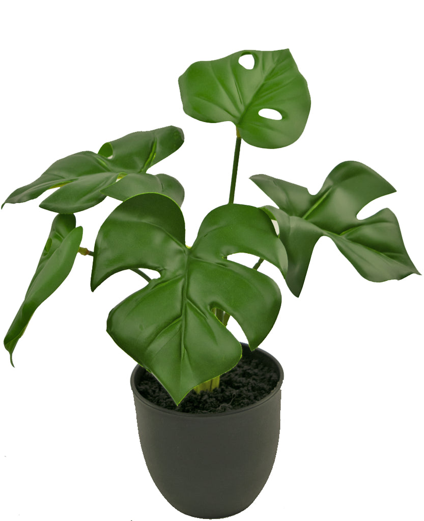 Kunstplant Monstera van 26 cm in zwarte sierpot