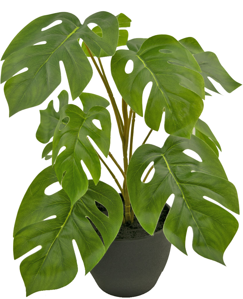 Kunstplant Monstera van 40 cm in zwarte sierpot