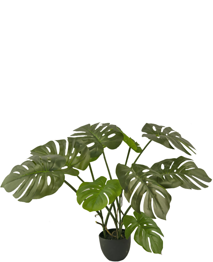 Kunstplant Monstera van 50 cm