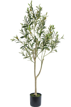 Mooie decoratieve kunstmatige olijfboom plant