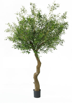 Kunstboom met groene olijven voor decoratie