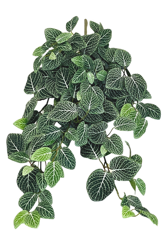 Kunst hangplant met Fittonia in groen-wit, 70 cm hoog