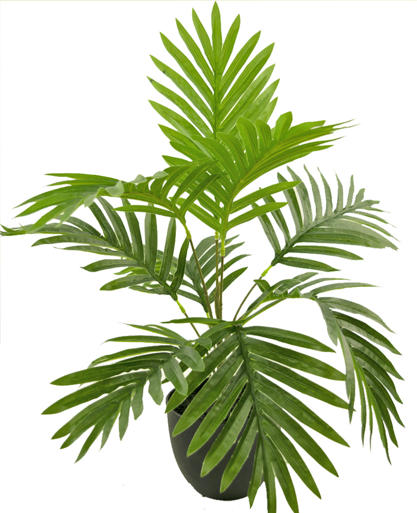 Kunstpalm in zwarte sierpot van 50 cm