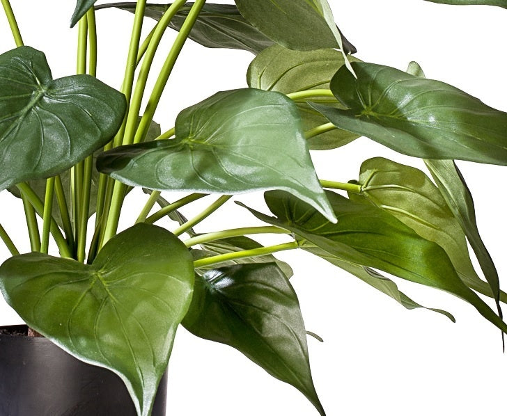 Decoratieve nep Alocasia plant voor thuis