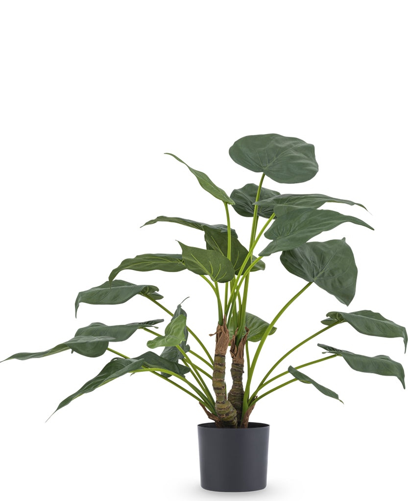 Kunstplant Alocasia - decoratieve 53 cm