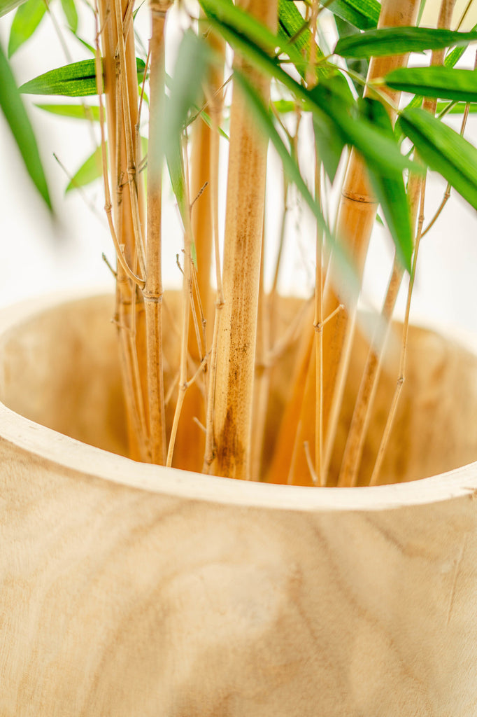 Groene decoratieve plant van namaak bamboe