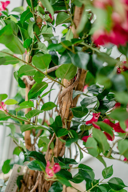 Mooie kunstplant bougainvillea liana 115cm