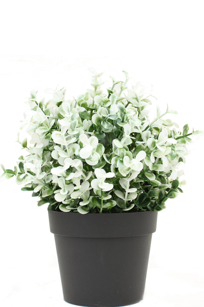 Kunstmatige Buxus Plant in Witte Pot voor Buiten