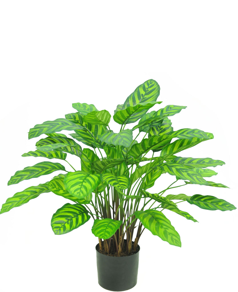 Kunstplant Calathea Makoyana deluxe interieurdecoratie