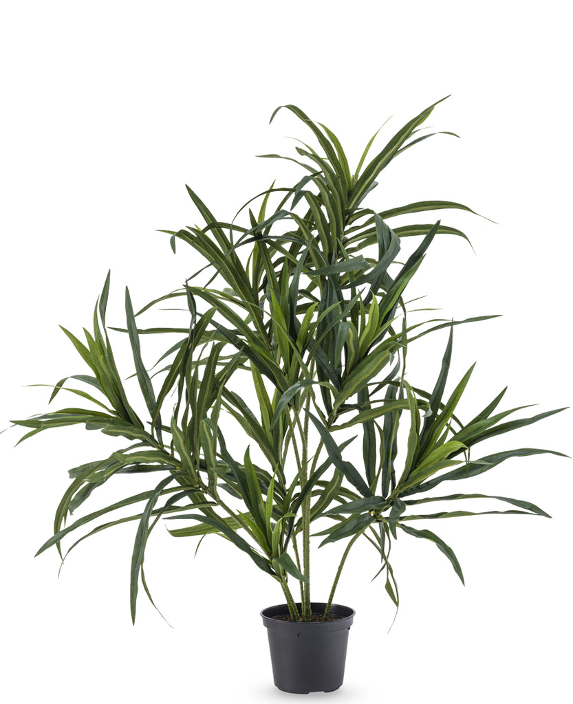 Kunstplant Dracaena in prachtige pot